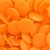 Colour: Pumpkin (B40)