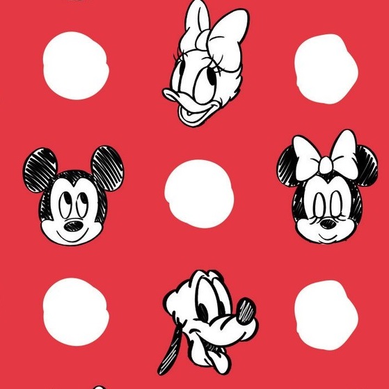 Disney Fabric