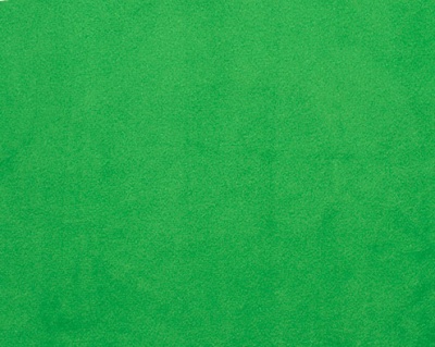 Kelly Green Plush