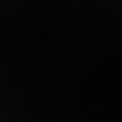 Black Plush