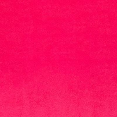 Fuchsia Plush