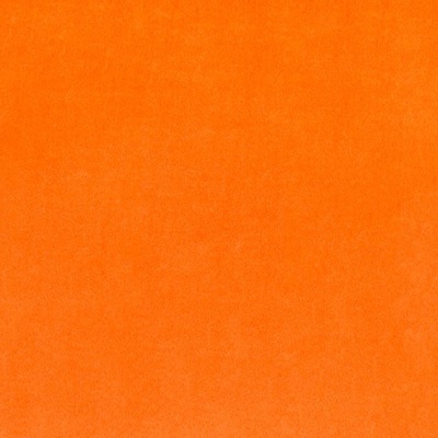 Orange Plush
