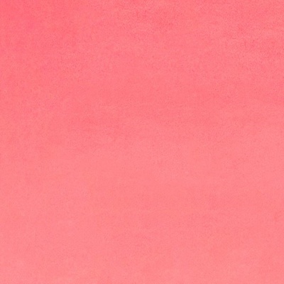 Paris Pink Plush