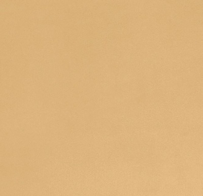 Camel Plush