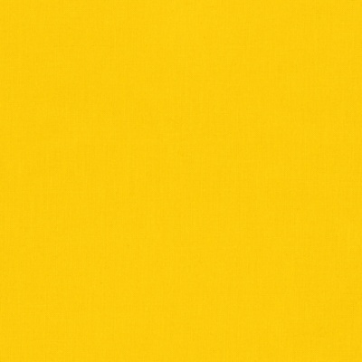 Canary (26)
