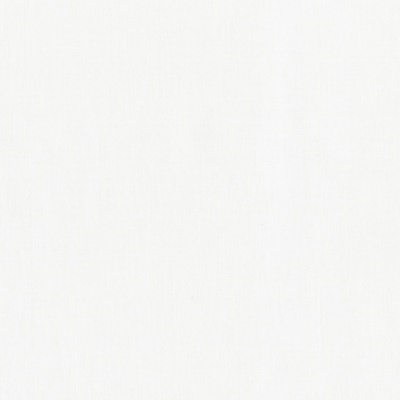Snow (1339)