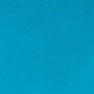 Dark Turquoise Plush