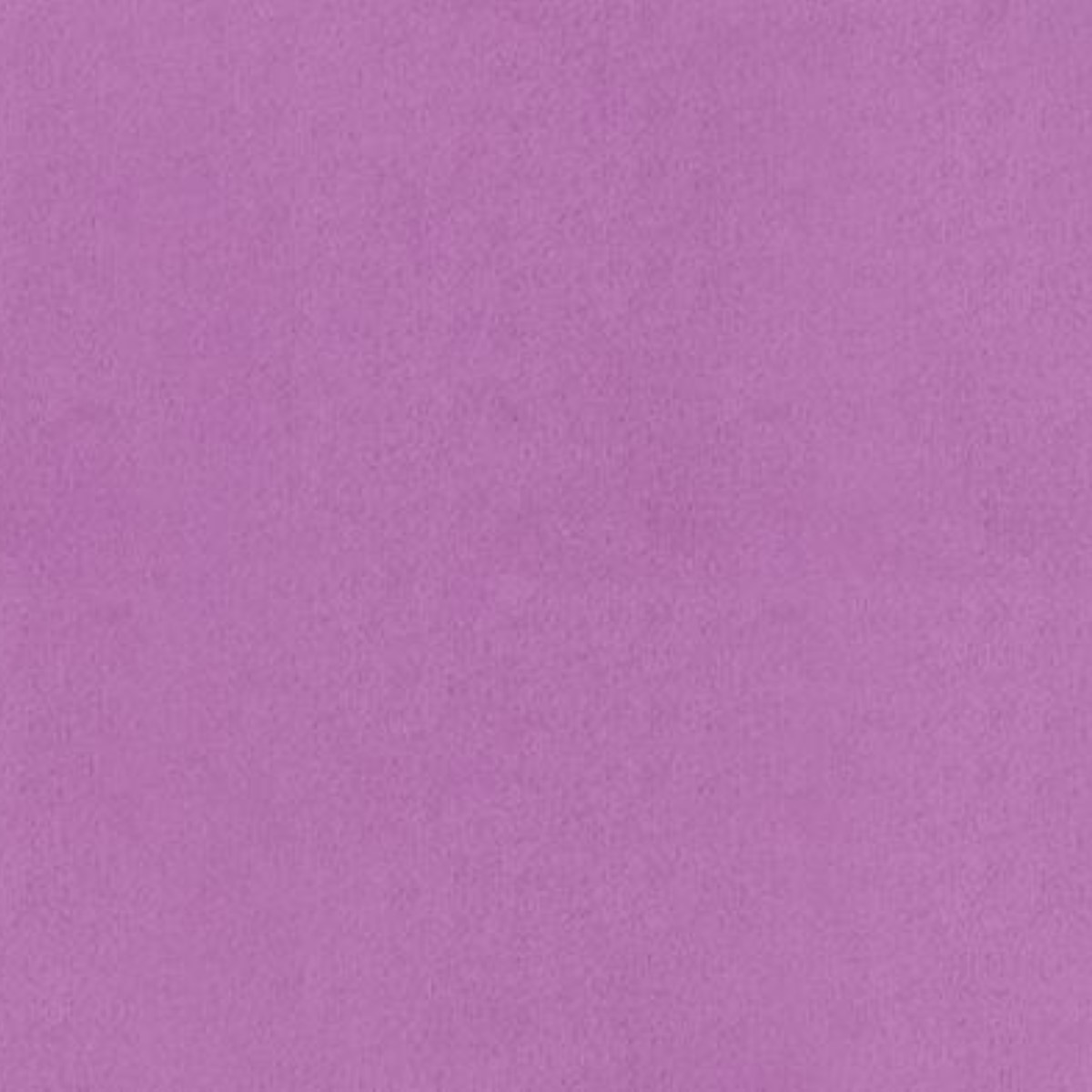 Mauve Plush by Shannon Fabrics