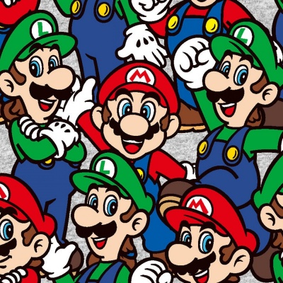 Nintendo Mario Luigi Packed Cotton