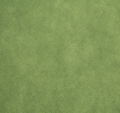 Kiwi Plush