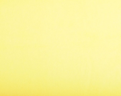 Sunshine Plush