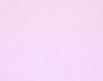 Baby Pink Plush