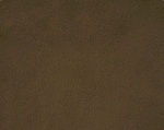 Brown Plush