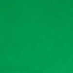 Kelly Green Plush