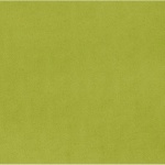 Kiwi Plush