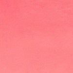 Paris Pink Plush