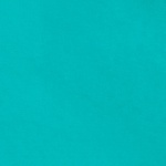 Teal Plush