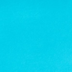 Turquoise Plush