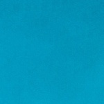 Dark Turquoise Plush