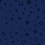 Star Embossed Midnight Plush