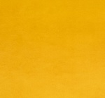 Gold Plush
