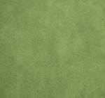 Kiwi Plush